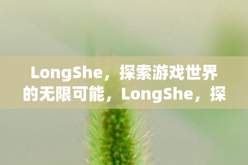 LongShe,探索游戏世界的无限可能,LongShe,探索游戏世界的无限可能 LongShe,探索游戏世界的无限可能,LongShe,探索游戏世界的无限可能