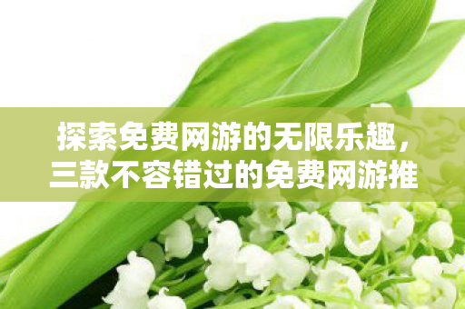 探索免费网游的无限乐趣，三款不容错过的免费网游推荐，三款不容错过的免费网游，带你探索无限乐趣！