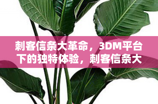 刺客信条大革命，3DM平台下的独特体验，刺客信条大革命3DM平台独特体验震撼来袭