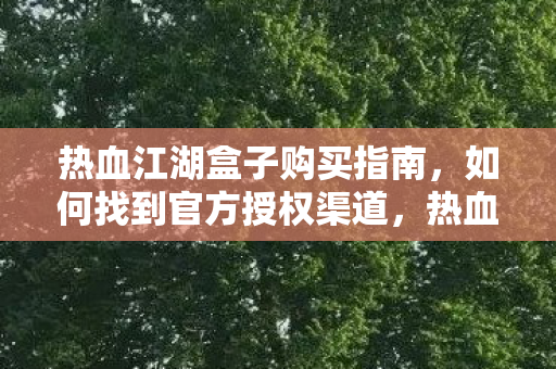 热血江湖盒子购买指南，如何找到官方授权渠道，热血江湖盒子官方授权购买指南