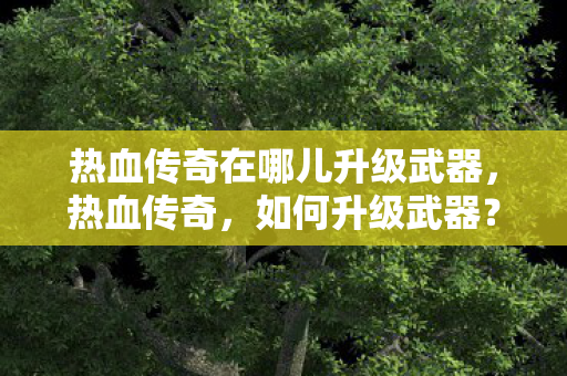 热血传奇在哪儿升级武器,热血传奇,如何升级武器? 热血传奇在哪儿升级武器,热血传奇,如何升级武器?