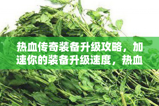 热血传奇装备升级攻略图片