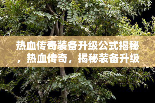 热血传奇装备升级公式揭秘图片
