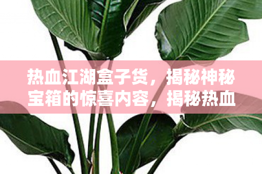 热血江湖盒子货，揭秘神秘宝箱的惊喜内容，揭秘热血江湖盒子货，神秘宝箱中的惊喜内容
