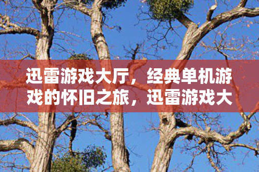 迅雷游戏大厅,经典单机游戏的怀旧之旅,迅雷游戏大厅,重温经典单机游戏的怀旧之旅 迅雷游戏大厅,经典单机游戏的怀旧之旅,迅雷游戏大厅,重温经典单机游戏的怀旧之旅