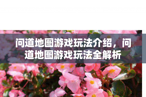 问道地图游戏玩法全解析图片