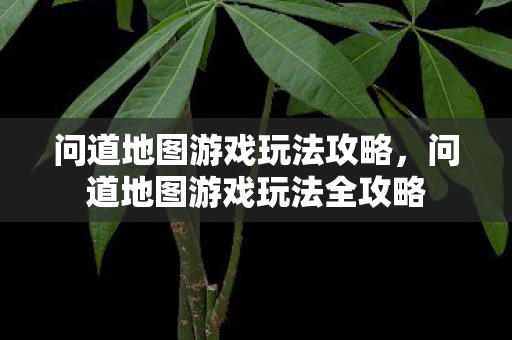 问道地图游戏玩法全攻略图片