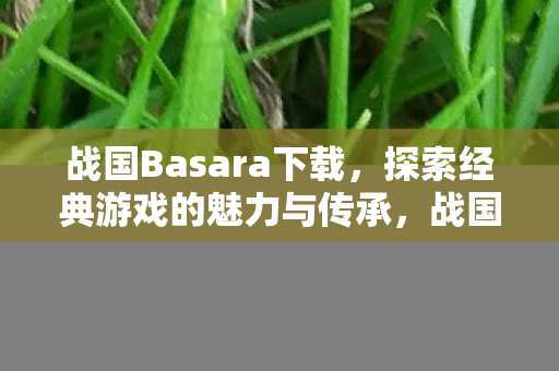 战国Basara下载,探索经典游戏的魅力与传承,战国Basara经典再现,探索游戏魅力与传承 战国Basara下载,探索经典游戏的魅力与传承,战国Basara经典再现,探索游戏魅力与传承