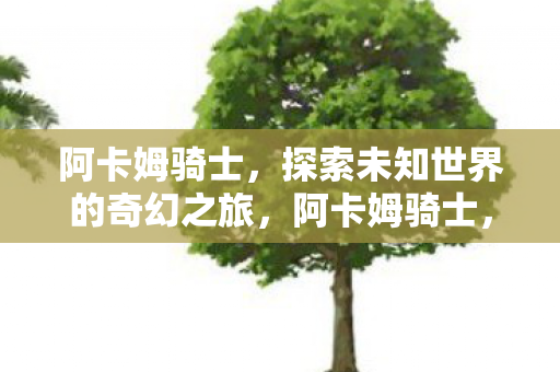 阿卡姆骑士，探索未知世界的奇幻之旅，阿卡姆骑士，探索未知世界的奇幻之旅