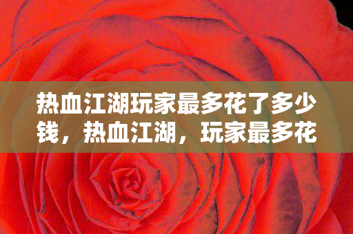 热血江湖玩家最多花了多少钱，热血江湖，玩家最多花费多少钱？