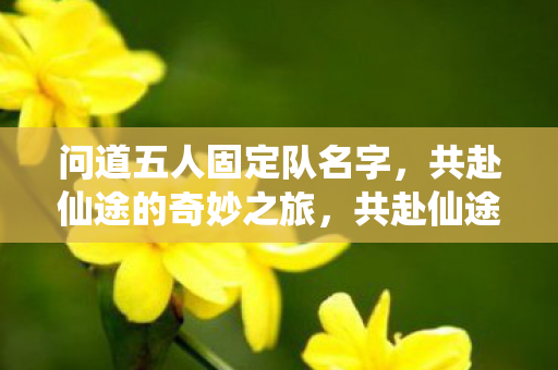 问道五人固定队名字图片