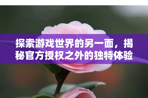 探索游戏世界的另一面，揭秘官方授权之外的独特体验，揭秘游戏世界官方授权之外的独特体验