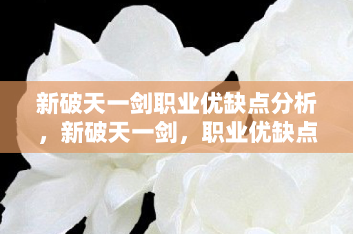 新破天一剑职业优缺点分析图片