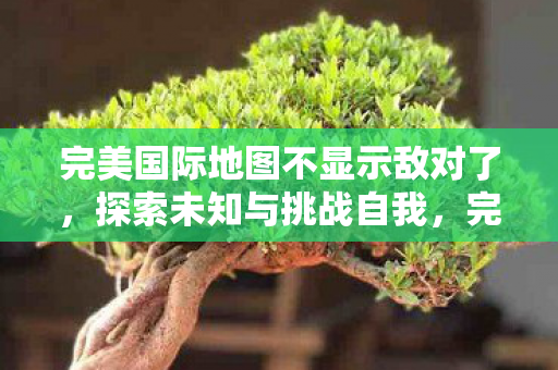 完美国际地图不显示敌对了，探索未知与挑战自我，完美国际地图无敌对，探索未知挑战自我
