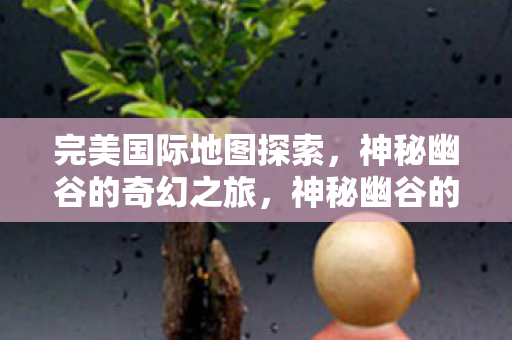完美国际地图探索，神秘幽谷的奇幻之旅，神秘幽谷的奇幻之旅，完美国际地图探索