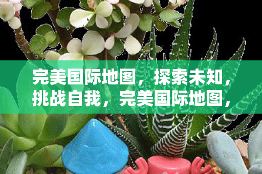 完美国际地图图片