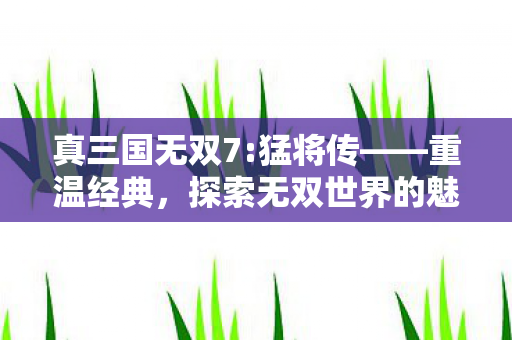 真三国无双7:猛将传——重温经典,探索无双世界的魅力,真三国无双7:猛将传重温经典,探索无双世界的魅力 真三国无双7:猛将传——重温经典,探索无双世界的魅力,真三国无双7:猛将传重温经典,探索无双世界的魅力