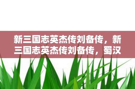 新三国志英杰传刘备传，新三国志英杰传刘备传，蜀汉开创者的传奇人生