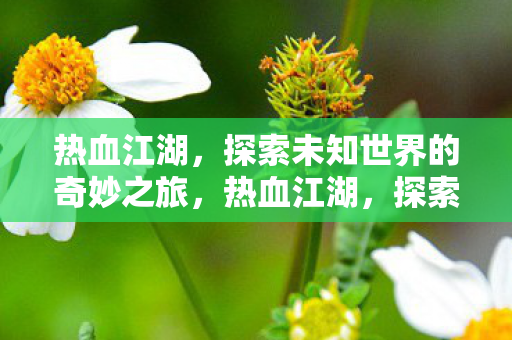 探索未知世界的奇妙之旅图片