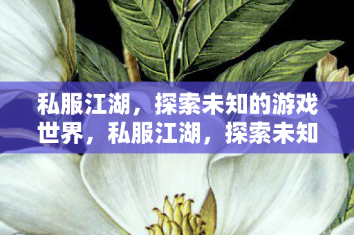 私服江湖，探索未知的游戏世界，私服江湖，探索未知的游戏世界之旅