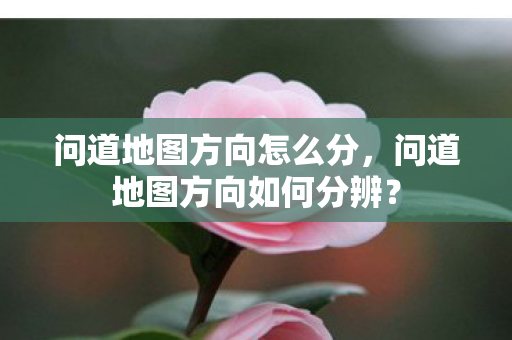 问道地图方向怎么分,问道地图方向如何分辨? 问道地图方向怎么分,问道地图方向如何分辨?