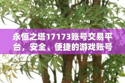 永恒之塔17173账号交易平台图片