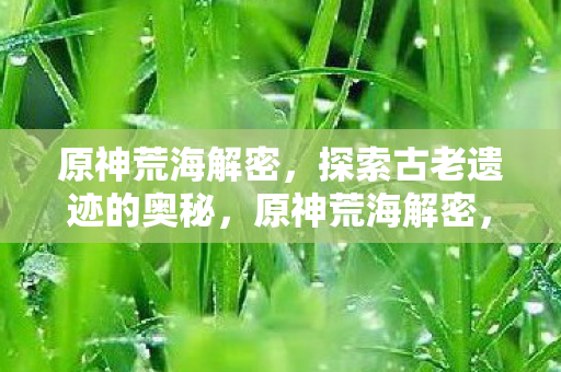原神荒海解密，探索古老遗迹的奥秘，原神荒海解密，探索古老遗迹的神秘面纱