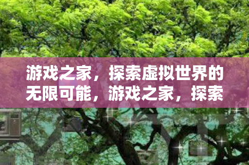游戏之家，探索虚拟世界的无限可能，游戏之家，探索虚拟世界的无限可能