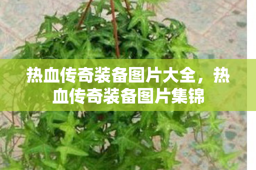 热血传奇装备图片大全图片