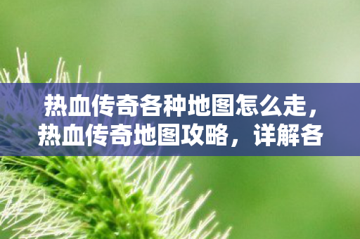 热血传奇各种地图怎么走，热血传奇地图攻略，详解各地图路线
