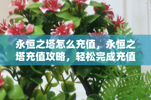 永恒之塔怎么充值图片