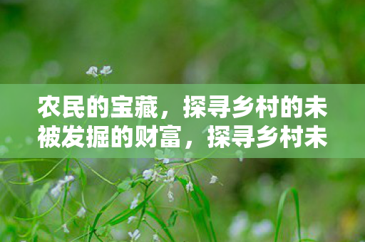 农民的宝藏,探寻乡村的未被发掘的财富,探寻乡村未被发掘的财富,农民的宝藏 农民的宝藏,探寻乡村的未被发掘的财富,探寻乡村未被发掘的财富,农民的宝藏