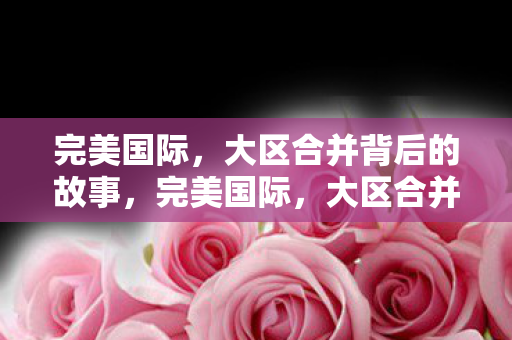 大区合并背后的故事图片