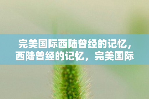 完美国际西陆曾经的记忆图片