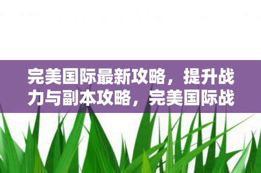 完美国际战力提升与副本攻略全解析图片
