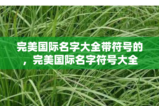 完美国际名字大全带符号的图片