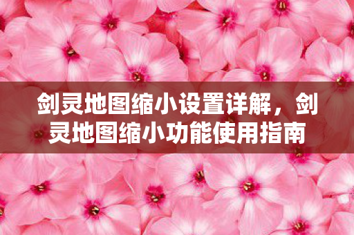 剑灵地图缩小设置详解,剑灵地图缩小功能使用指南 剑灵地图缩小设置详解,剑灵地图缩小功能使用指南