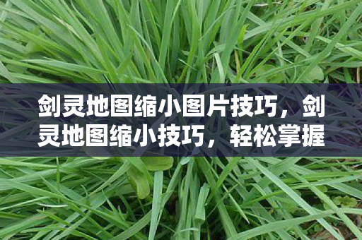剑灵地图缩小图片技巧,剑灵地图缩小技巧,轻松掌握图片缩放方法 剑灵地图缩小图片技巧,剑灵地图缩小技巧,轻松掌握图片缩放方法