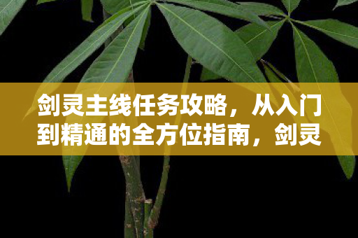 从入门到精通的全方位指南图片