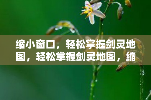 缩小窗口,轻松掌握剑灵地图,轻松掌握剑灵地图,缩小窗口技巧 缩小窗口,轻松掌握剑灵地图,轻松掌握剑灵地图,缩小窗口技巧