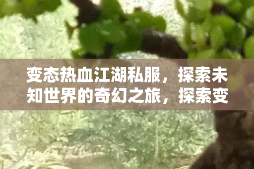 变态热血江湖私服,探索未知世界的奇幻之旅,探索变态热血江湖私服,奇幻之旅的冒险与挑战 变态热血江湖私服,探索未知世界的奇幻之旅,探索变态热血江湖私服,奇幻之旅的冒险与挑战