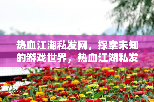 热血江湖私发网,探索未知的游戏世界,热血江湖私发网,探索未知的游戏世界 热血江湖私发网,探索未知的游戏世界,热血江湖私发网,探索未知的游戏世界