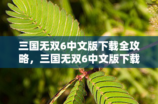 三国无双6中文版下载全攻略,三国无双6中文版下载全攻略 三国无双6中文版下载全攻略,三国无双6中文版下载全攻略