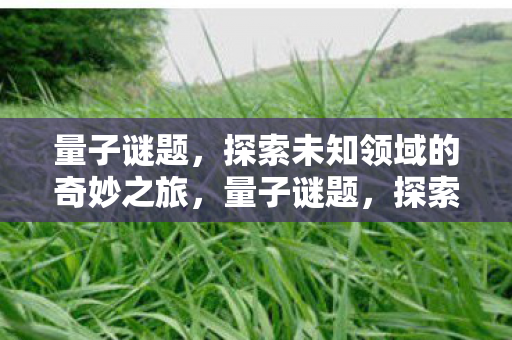 量子谜题，探索未知领域的奇妙之旅，量子谜题，探索未知领域的奇妙之旅