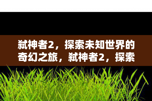 弑神者2，探索未知世界的奇幻之旅，弑神者2，探索未知世界的奇幻冒险之旅