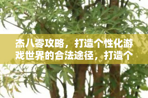 杰八零攻略，打造个性化游戏世界的合法途径，打造个性化游戏世界，杰八零攻略的合法途径