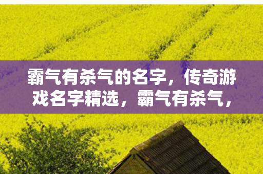 霸气有杀气的名字,传奇游戏名字精选,霸气有杀气,传奇游戏名字精选 霸气有杀气的名字,传奇游戏名字精选,霸气有杀气,传奇游戏名字精选