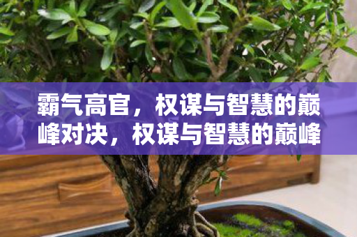 霸气高官,权谋与智慧的巅峰对决,权谋与智慧的巅峰对决,霸气高官 霸气高官,权谋与智慧的巅峰对决,权谋与智慧的巅峰对决,霸气高官