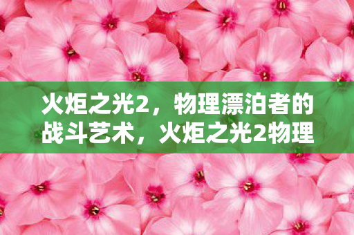 火炬之光2，物理漂泊者的战斗艺术，火炬之光2物理漂泊者，战斗艺术的极致展现