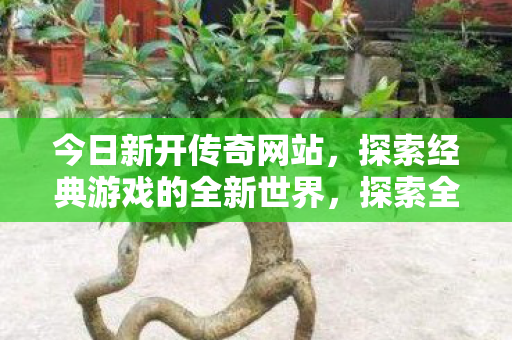 今日新开传奇网站,探索经典游戏的全新世界,探索全新传奇世界,经典游戏的重启之旅 今日新开传奇网站,探索经典游戏的全新世界,探索全新传奇世界,经典游戏的重启之旅